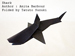 Photo Origami Shark, Author : Anita Barbour, Folded by Tatsuto Suzuki